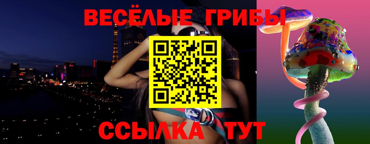 Галлюциногенные грибы GOLDEN TEACHER  Вход с VPN  Заволжье  Псилоцибиновые грибы Cubensis 